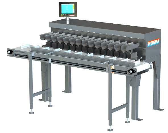 PESADORA MULTICABEZAL LINEAL SEMI AUTOMATICA 